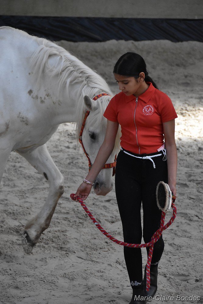DSC-0194.jpg