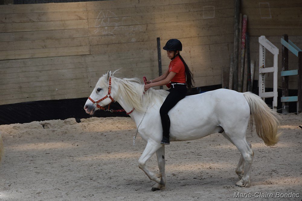 DSC-0484.jpg