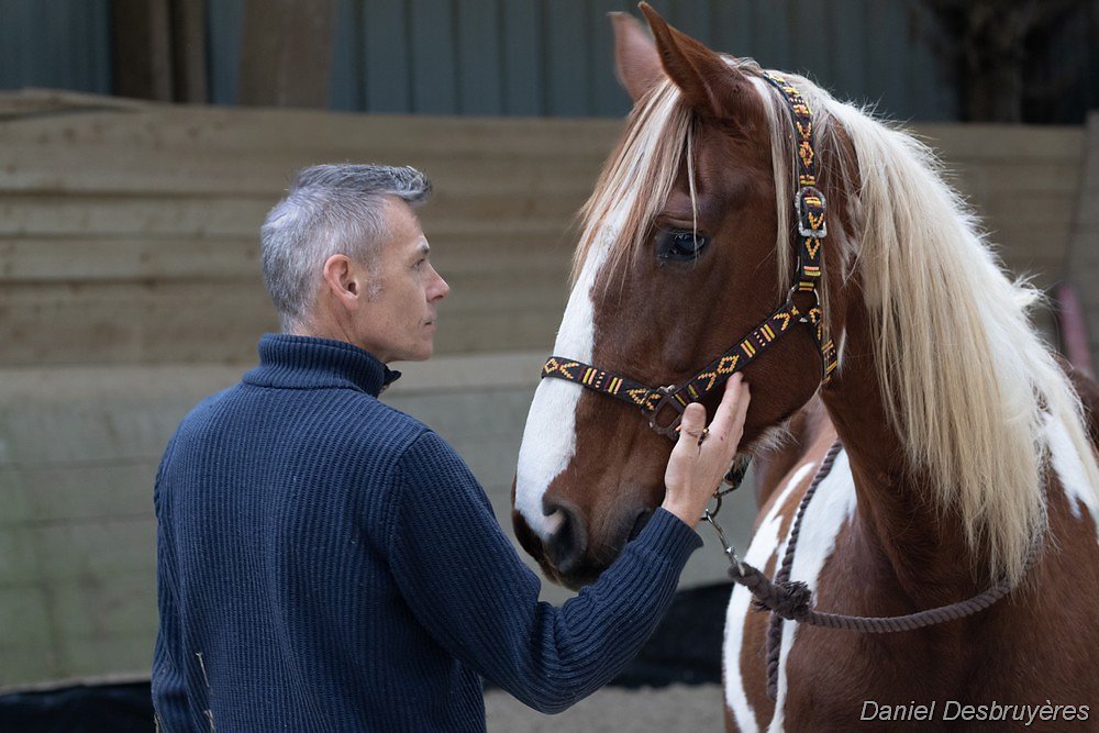 Photos Daniel 16/11/2025